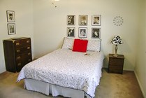Photo #14
